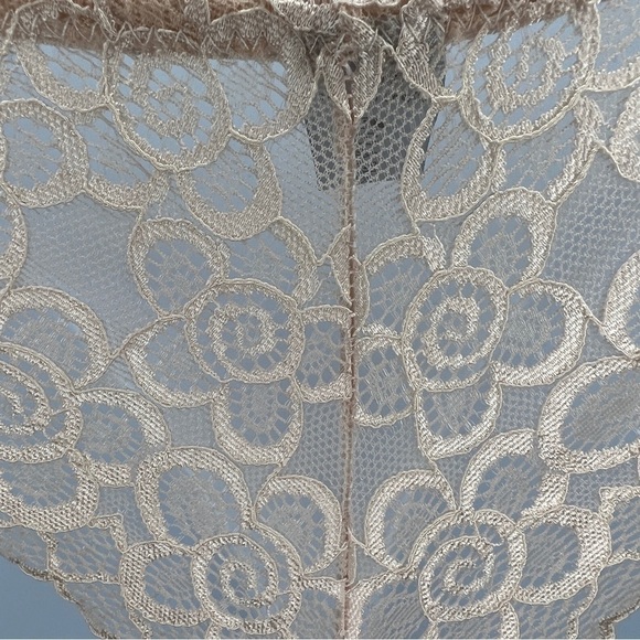 Nude Beige Lace Cheeky Underwear Small Sophie B NWOT Stretch Breathable Glam - Picture 5 of 8